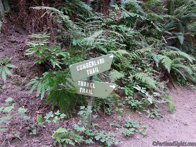 cumberland trail, tunnel trail macleay park things to do in portland